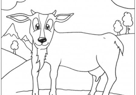 Cute Goat Coloring Sheets | Coloring