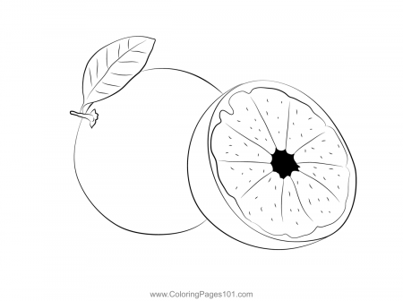 Grapefruit Juice Coloring Page for Kids - Free Grapefruit Printable Coloring  Pages Online for Kids - ColoringPages101.com | Coloring Pages for Kids