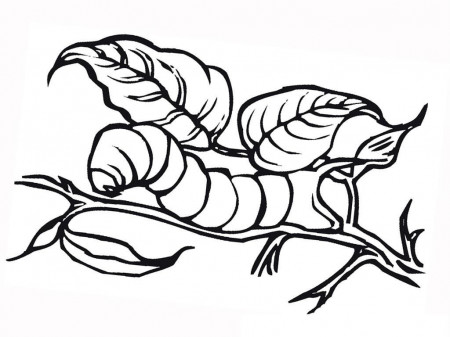 Printable Insect Coloring Pages for Kids : New Coloring Pages ...