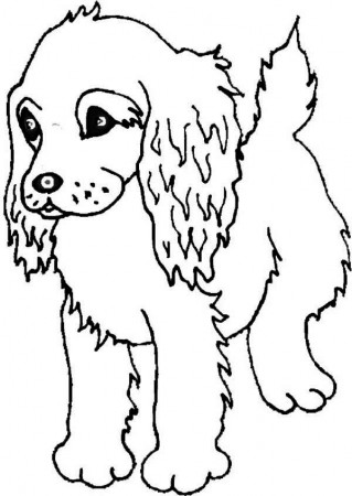 Boykin Spaniel Puppy Coloring Free Puppies Dogs And Algebra Shape Problems  Grade Free Coloring Pages Dogs And Puppies Coloring Pages mathxl for school  hard math questions for grade 10 writing algebraic equations