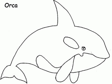 Cute Blue Whale Picture Coloring Page: Cute Blue Whale Picture ...