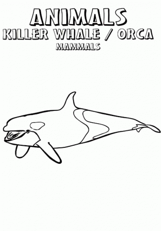 The Wild Animal Killer Whale Coloring Page: The Wild Animal Killer ...