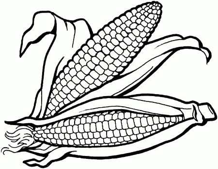 Thanksgiving Harvest Coloring Pages | Holidays Coloring pages of ...