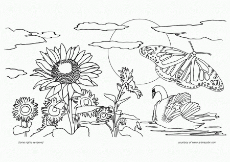 Category Coloring Pages Of Nature Scenes Page 0 Kids Coloring ...
