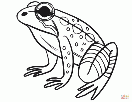 California Red-legged Frog coloring page | Free Printable Coloring Pages