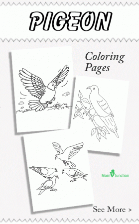 10 Cute Pigeon Coloring Pages For Your Little One