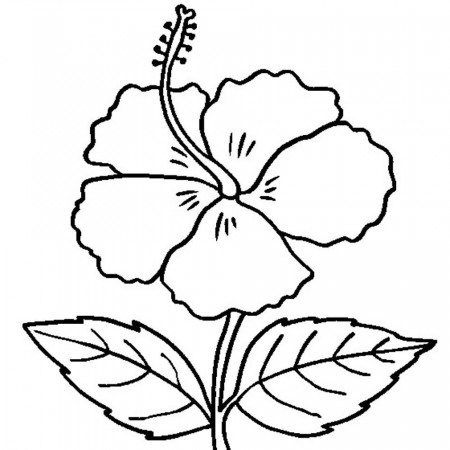 Free Printable Hibiscus Coloring Pages For Kids