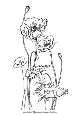 Poppy Colouring Page