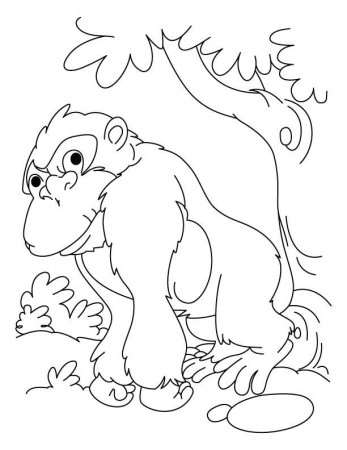 43 Awesome Gorilla Coloring Pages - Gianfreda.net