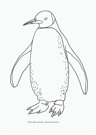 Emperor Penguins: Emperor Penguin Coloring Pages, Emperor Penguin ...