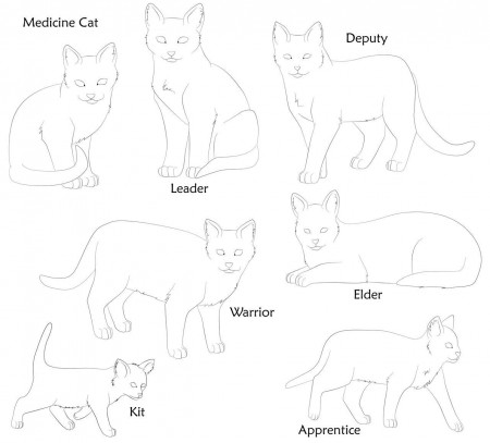Coloring Pictures Of Warrior Cats - Coloring