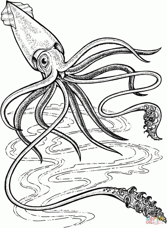 Deep-Ocean Giant Squid coloring page | Free Printable Coloring Pages