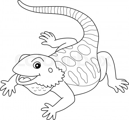 Bearded Dragon Animal Isolated Coloring Page | Stock vector | Colourbox