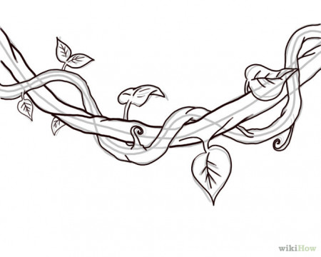 Vines coloring pages