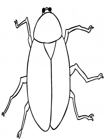Free Printable Cockroach Coloring Pages For Kids | Coloring pages for kids, Coloring  pages for girls, Coloring pages