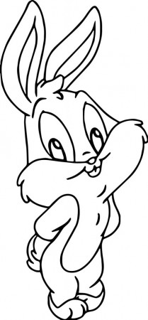 Simple and Detailed Bunny Coloring Pages | 101 Coloring