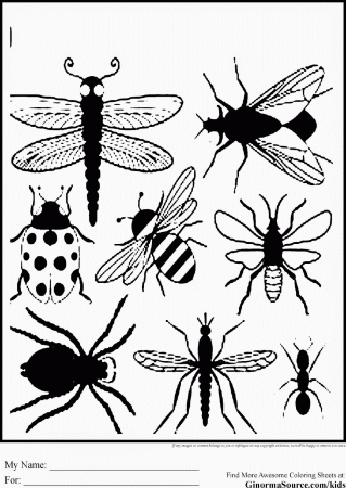 New Insect Coloring Sheets Free Coloring Sheet - Widetheme