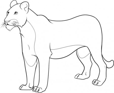 Lion Coloring Pages | Free Printable Lion Coloring Pages