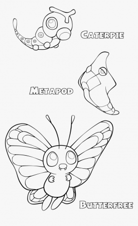 Pokemon Coloring Pages Butterfree Caterpie Line Page - Caterpie Coloring  Page, HD Png Download , Transparent Png Image - PNGitem