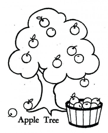 Apple Tree Coloring Pages | Fruit coloring pages, Apple coloring pages,  Preschool coloring pages