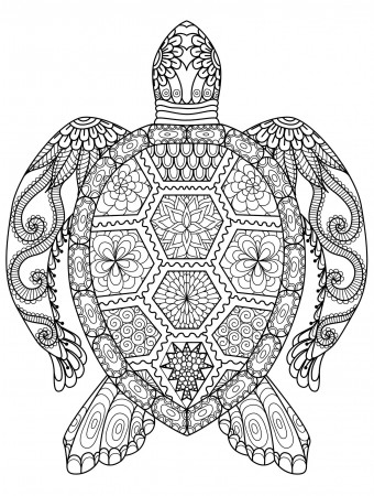Coloring : Uncategorizedle To Color Coloring Pages Free Colouring By  Numbers For Adults New Picture Of Flying Kids Page Crafts Black And White  52 Turtle To Color Image Inspirations ~ Sstra Coloring