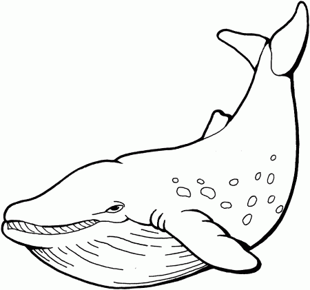 Whale Coloring Pages Killer Whale Coloring Pages Kids Coloring ...