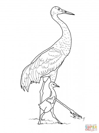 Cranes coloring pages | Free Coloring Pages