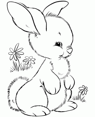 Black And White Coloring Pages Bunny - Coloring Pages For All Ages
