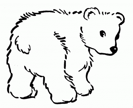 Printable Bear Coloring Pages | Coloring Me
