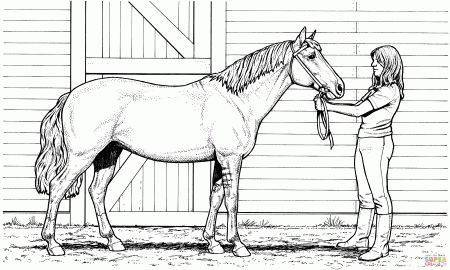 21 Free Pictures for: Horse Coloring Pages. Temoon.us