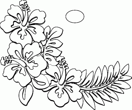 Hawaiian Flower Coloring Page WeColoringPage 18 | Wecoloringpage