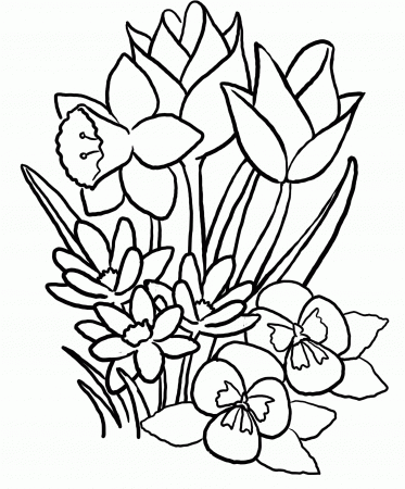 Hawaiian Flower Coloring Pages Printable Flowers Coloring Flower ...