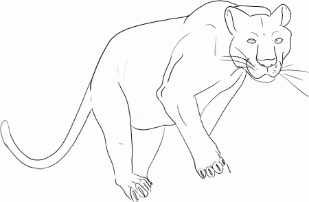 Florida Panther Coloring Page
