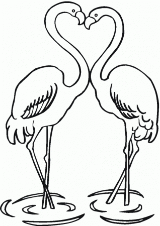 Flamingo Cartoon Pictures - Cliparts.co