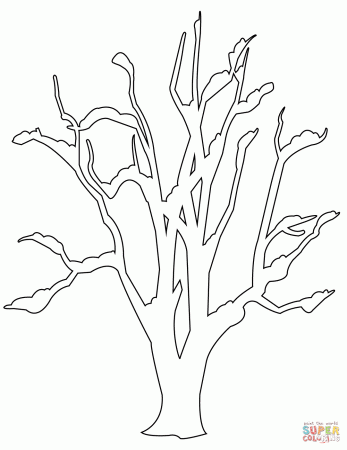 Trees & Leaves coloring pages | Free Coloring Pages