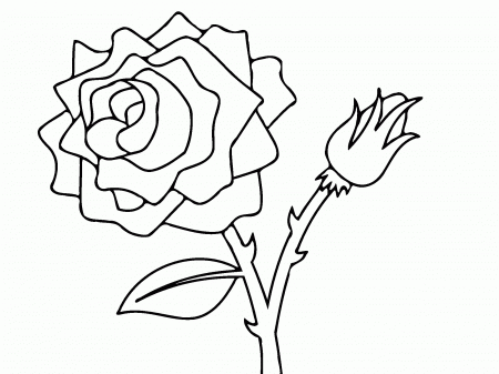 leproject.co Page 29: color of alligators. women coloring pages ...