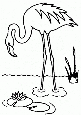 Flamingo coloring pages | 40th birthday party | Pinterest