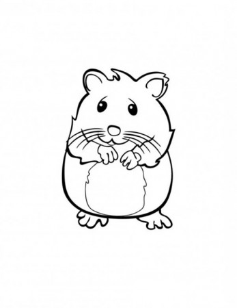 Cute Hamster in Guinea Pig Coloring Page: Cute Hamster in Guinea ...