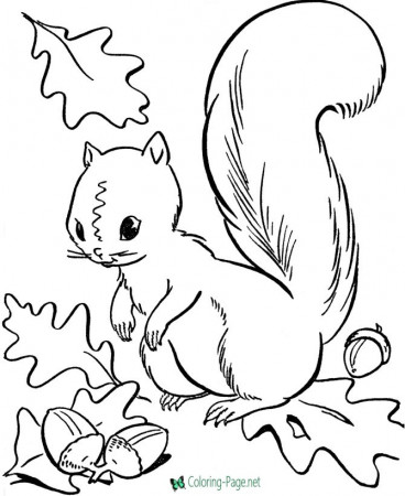 coloring : Fall Coloring Pages For Kids Lovely Autumn Coloring Pages Fall  Coloring Pages for Kids ~ queens