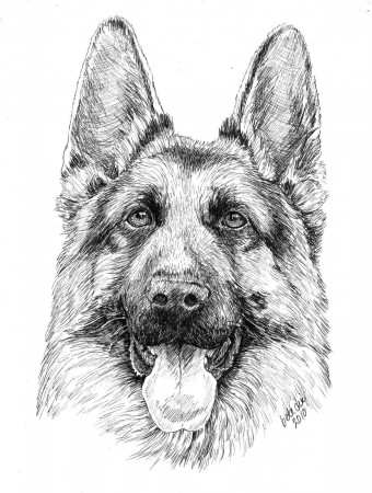Cartoon German Shepherd Puppy Coloring Page - Coloring Pages For ...