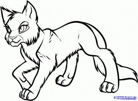 Warrior Cats Coloring Pages (14 Pictures) - Colorine.net | 13039