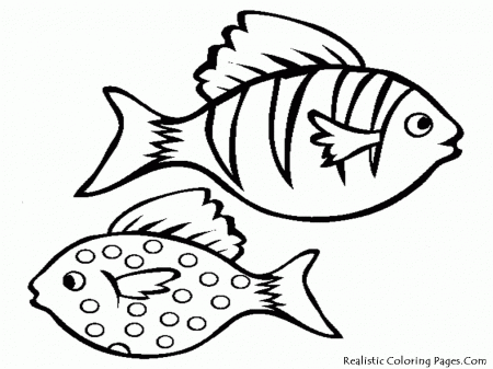 Aquarium Fish Printable Coloring Sheet | Realistic Coloring Pages
