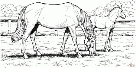 Grazzing Mare Horse and Filly coloring page | Free Printable ...