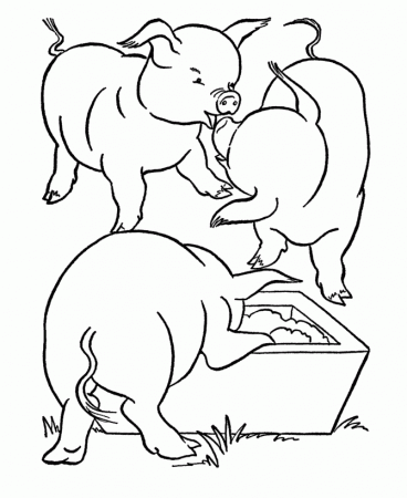 Farm Animal Coloring Pages | Printable Pigs feeding Coloring Page 