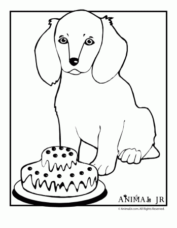 Puppy and Birthday Cake | Animal Jr.