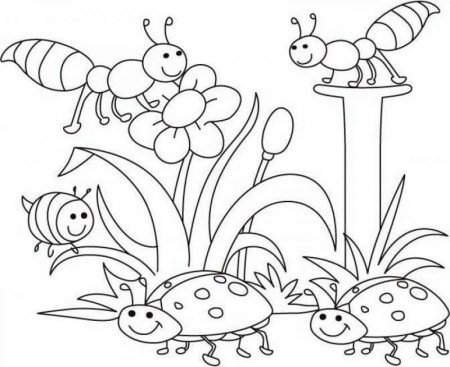 Free Printable Spring Coloring Pages For S - Coloring Page