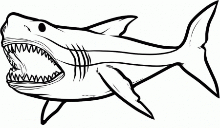 Big Angry Sharks Coloring Pages For Kids #eTK : Printable Sharks ...