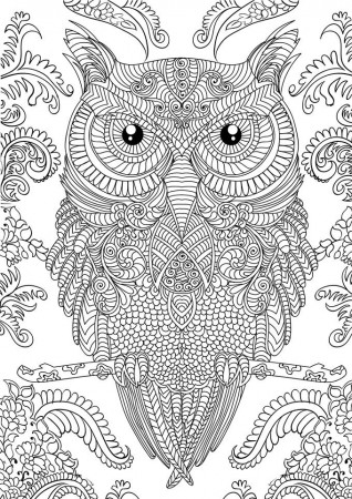 Printable 30 Adult Coloring Pages Owl 9161 - Adult Coloring Book ...