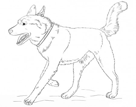 Realistic Dog Coloring Pages – PRINTABLE Kids Worksheets