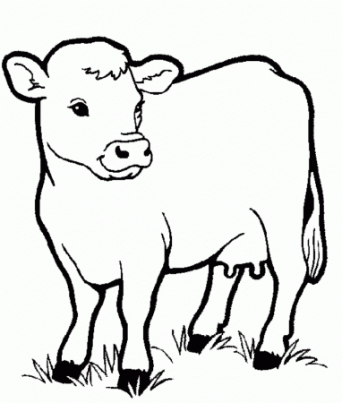 Coloring Pages: Cow Animals Coloring Pages For Kids Printable ...
